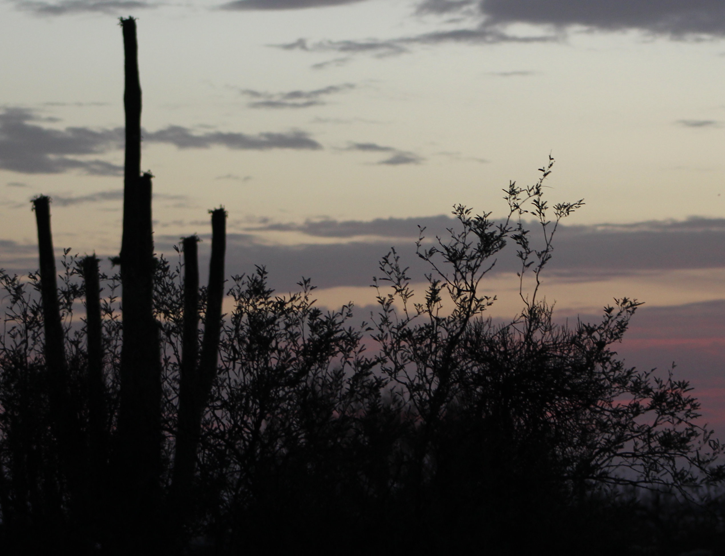 Pima County sky